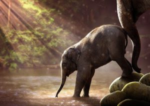 Scopri di più sull'articolo Elefanti Nani e Pappagalli Giganti