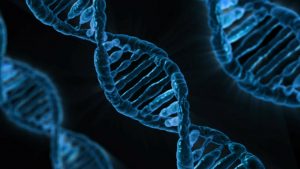 Scopri di più sull'articolo CRISPR/Cas9 : da sistema immunitario batterico a bisturi genetico